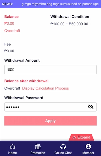 Step 3: Enter withdrawal amount and withdrawal password.